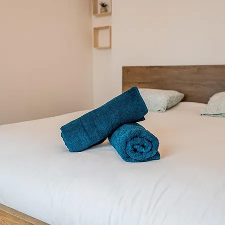 Apartment L'hortensia - Downtown - Wi-fi *